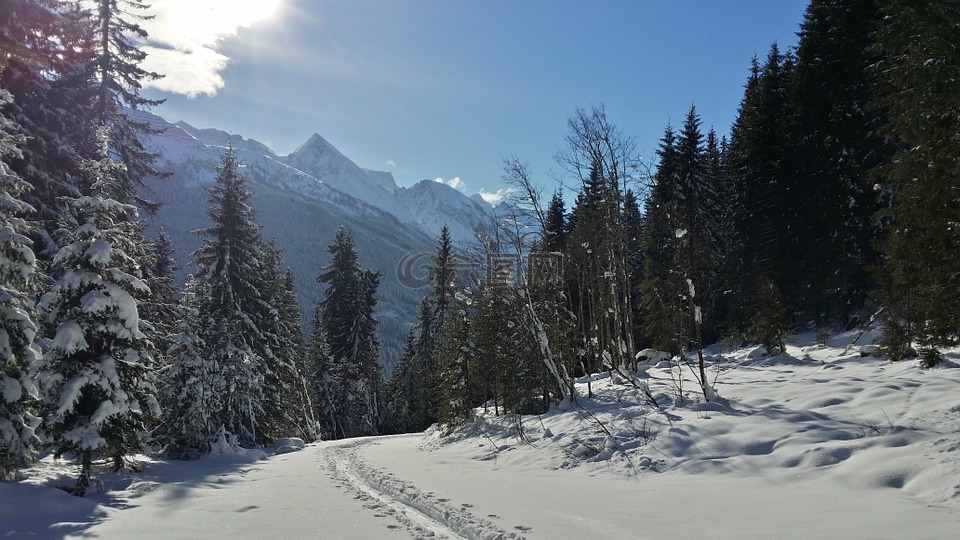 穷乡僻壤skiiing,追踪,滑雪