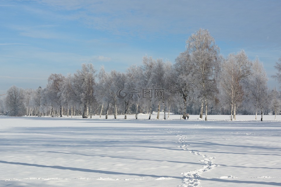 景观,冬天,雪