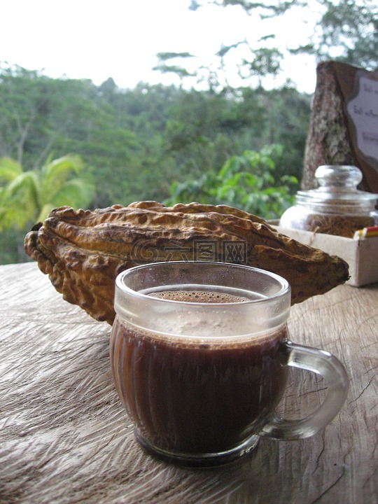 巴厘岛,咖啡,可可