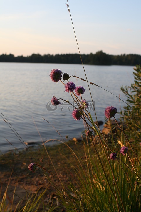湖,瑞典,平静