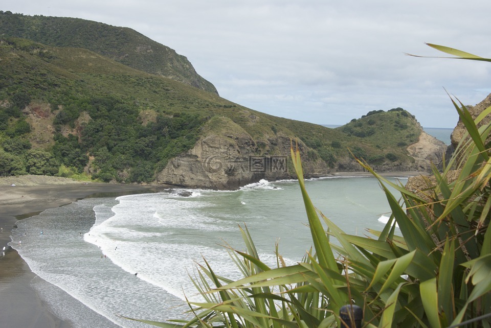 piha,新西兰,山