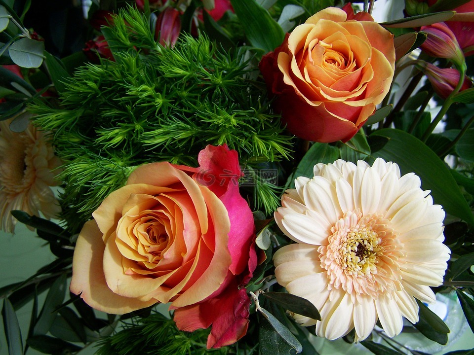 鲜花花束,玫瑰,非洲菊