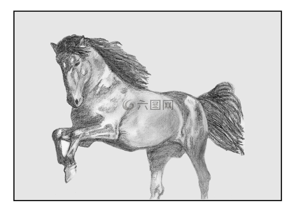 马,铅笔,绘图