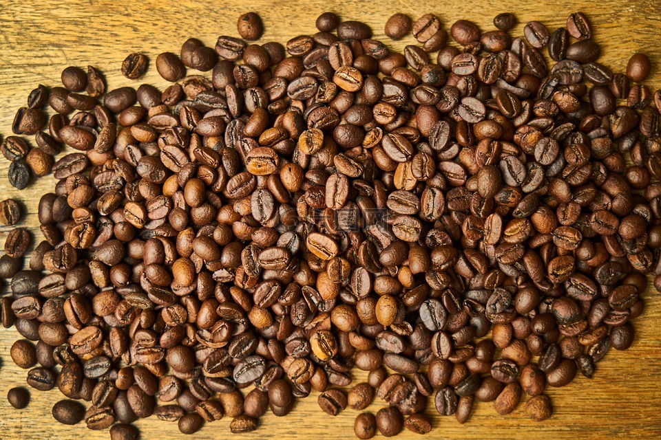 核心,种子,咖啡