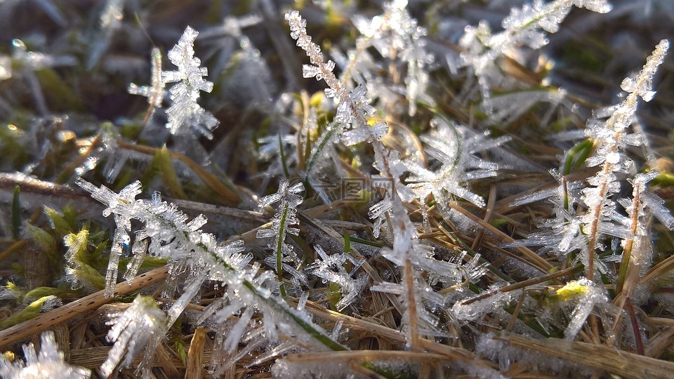 冰,雪,弗罗斯特