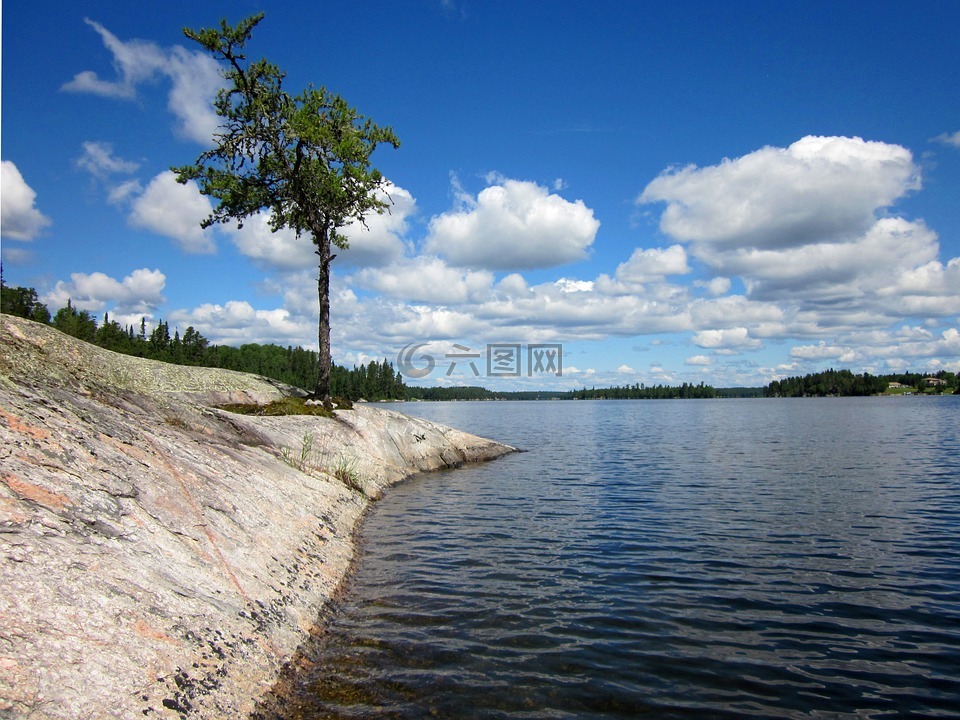 加拿大地盾,湖的树林,石