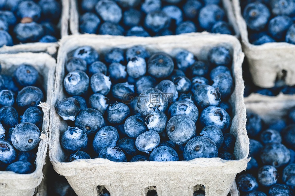 蓝色,蓝莓,美味