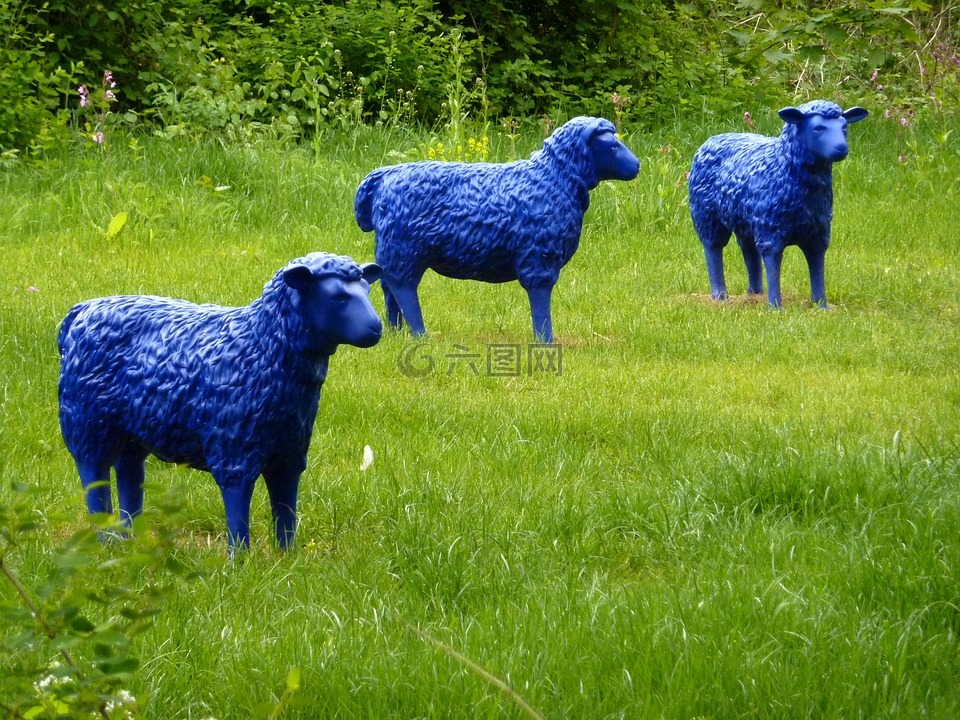 蓝色的羊,草地,性质