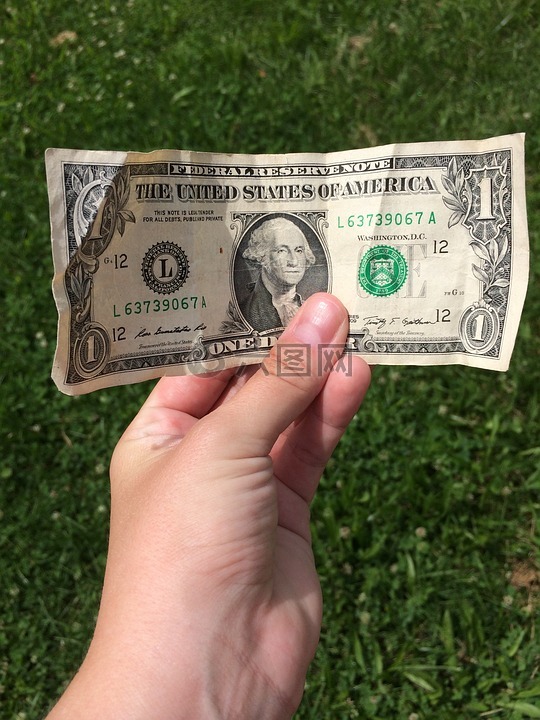 美元的帐单,手,草