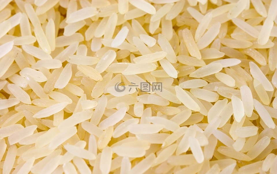 水稻,白,精