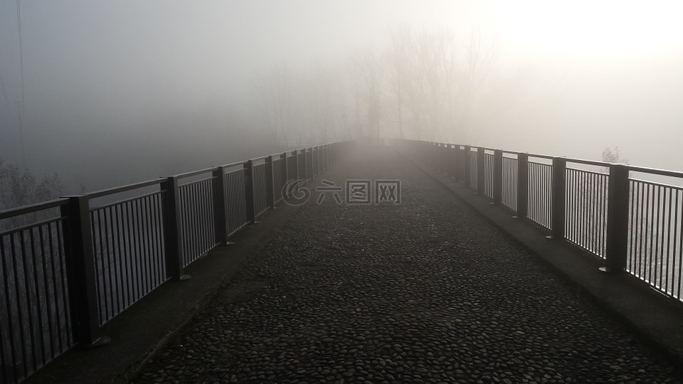 桥,雾,城市景观