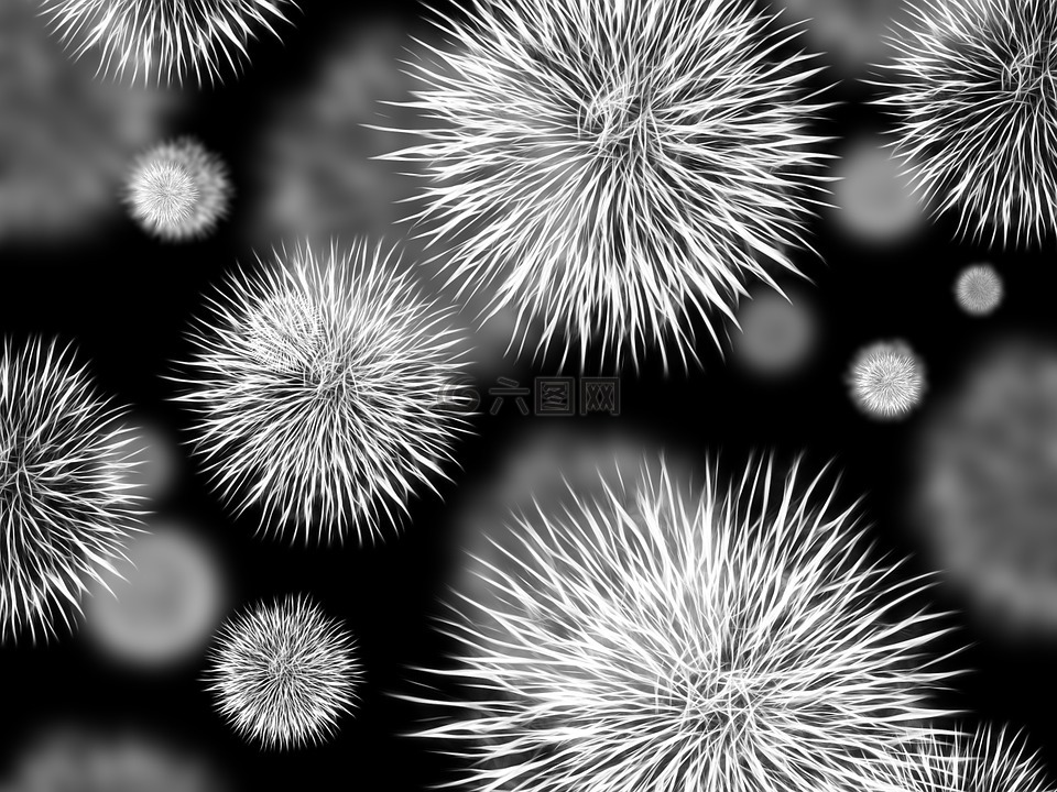 细菌,病原,感染