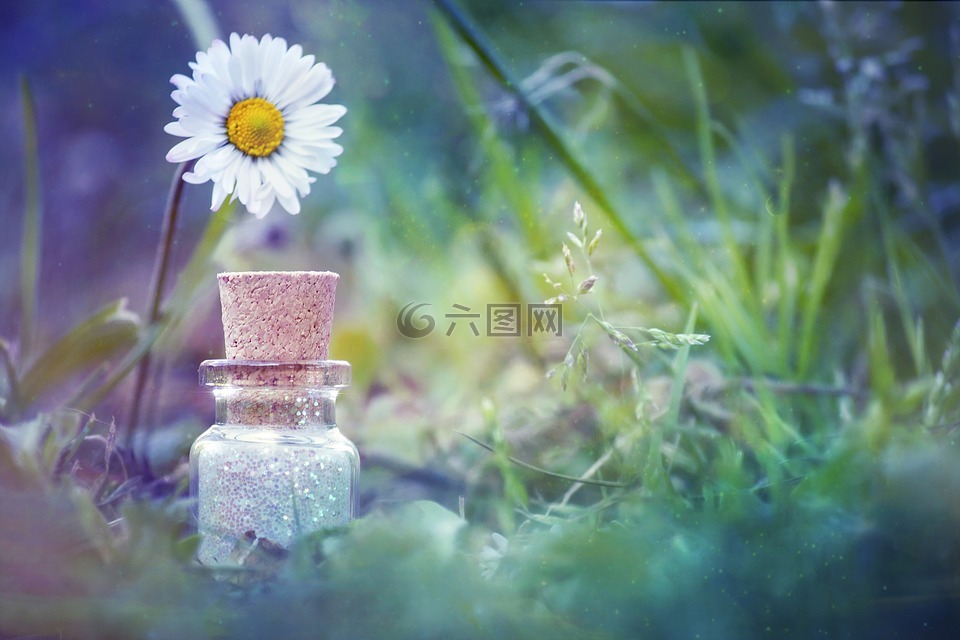 瓶,花,自然