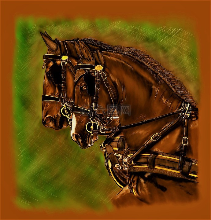 马匹,迁徙,数字艺术作品