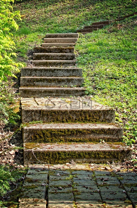 楼梯,逐步,绿色