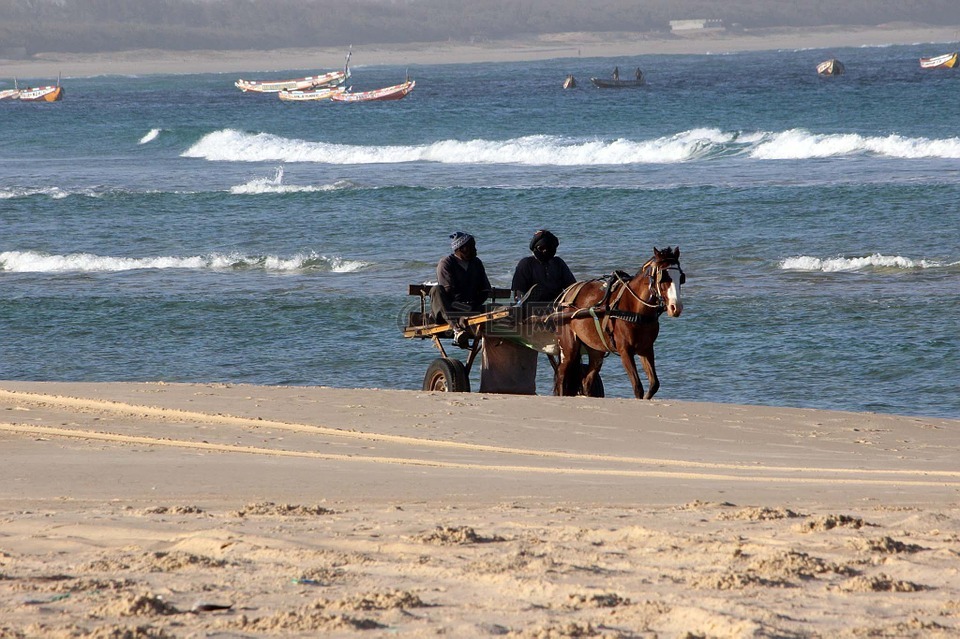 海,海滩,购物车