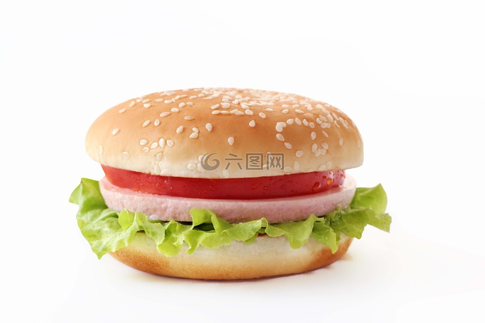 汉堡,奶酪,食品