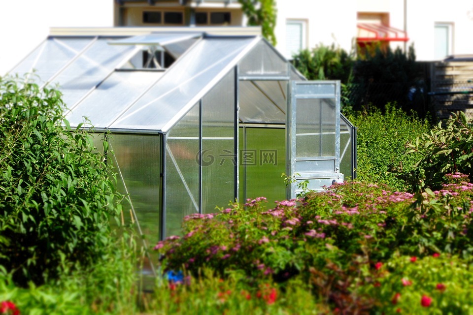 温室 花园 玻璃屋高清图库素材免费下载 图片编号 六图网