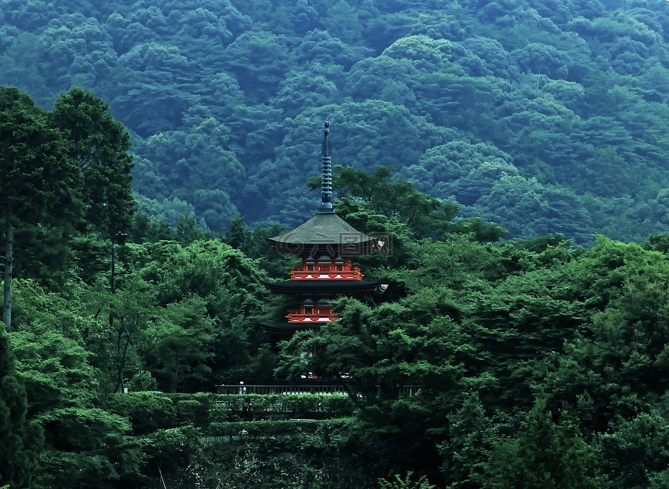 宝塔,日本,森林