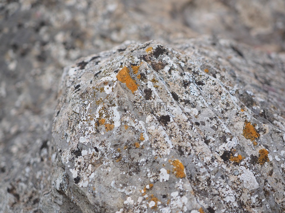 岩,石灰石,编织