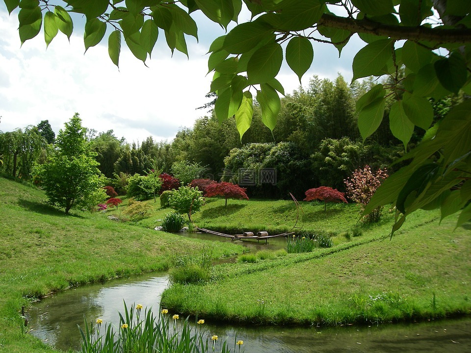 日本庭园,花园,法国南部竹