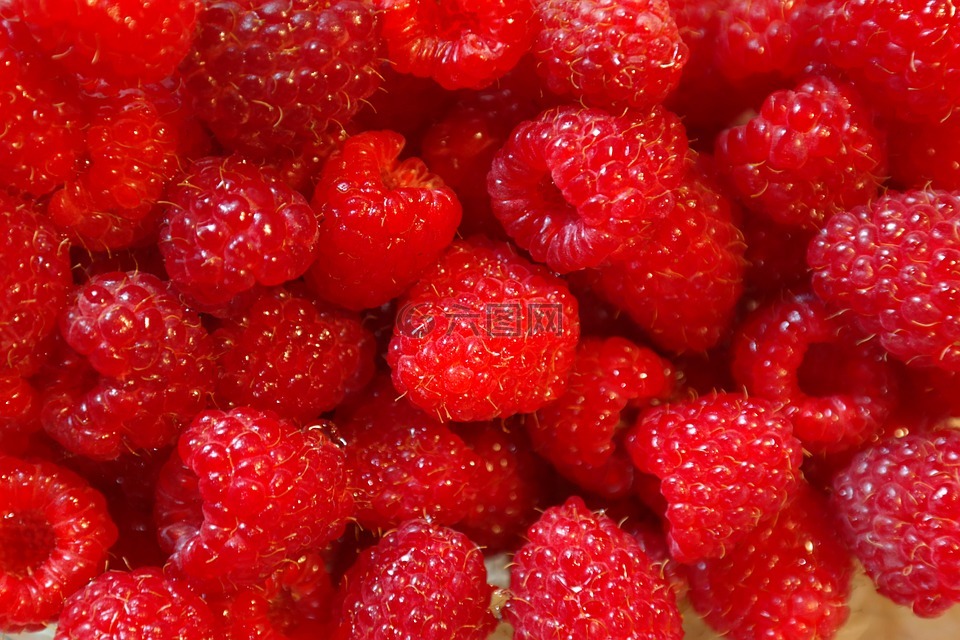 山莓,水果,浆果
