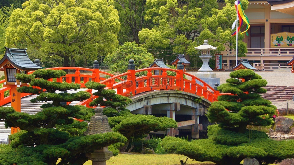 日本,花园,桥