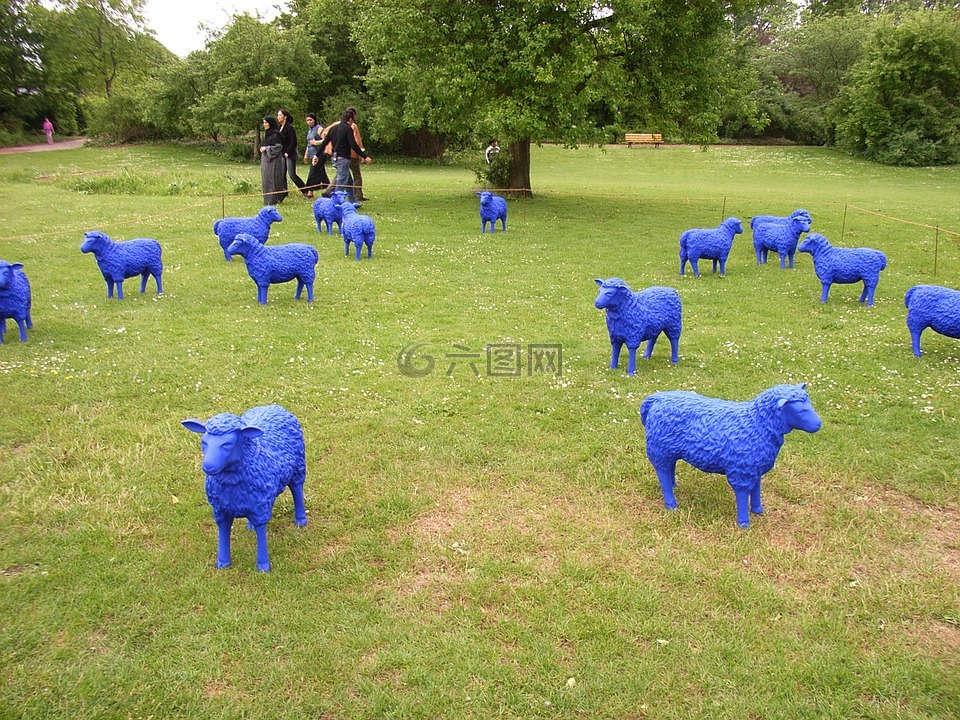羊,蓝色,蓝羊