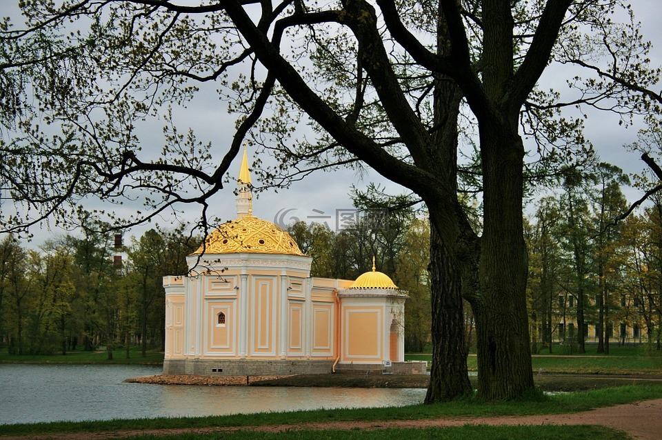 tsarskoe selo 房地产,圣 · 彼得堡,池