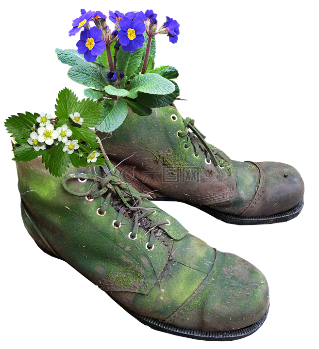 播种机,鲜花,旧靴子