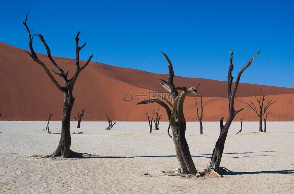 deadvlei,纳米比亚,沙漠