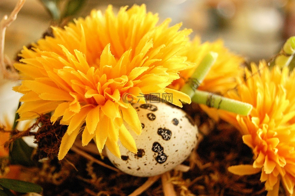 花,蛋,复活节