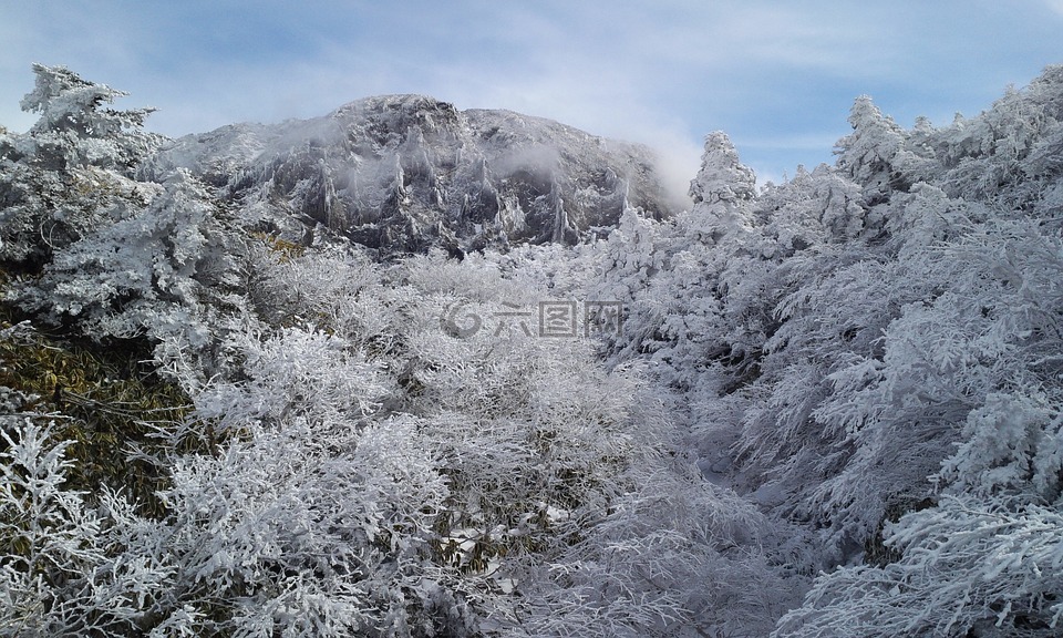 汉拿山和雪nambyeok,nambyeok冰雪覆盖的山。,山雪盛宴