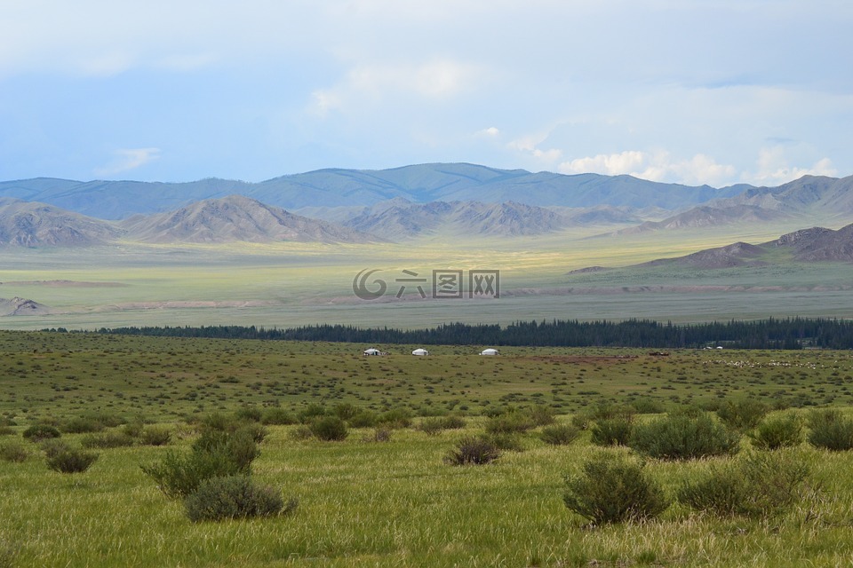 蒙古,草原,蒙古包
