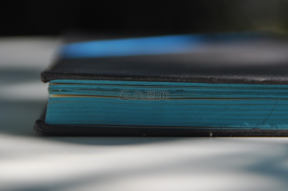 本书,页,蓝色