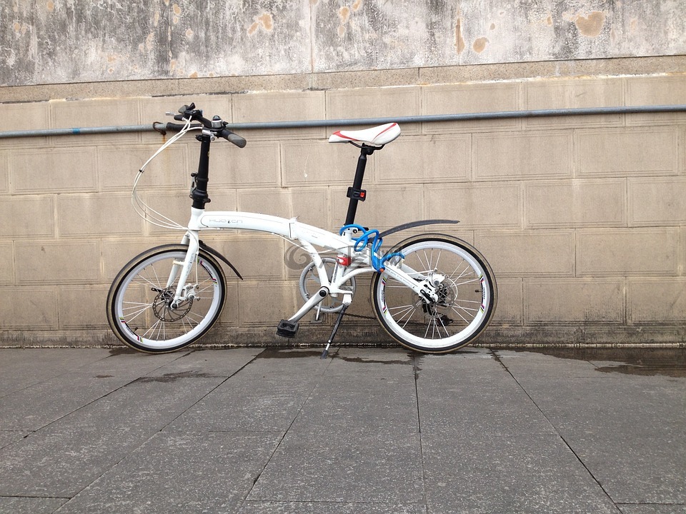 自行车,江边,广州