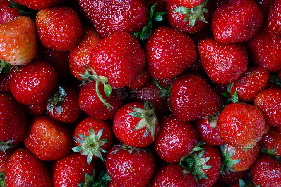 草莓,莓果,植物