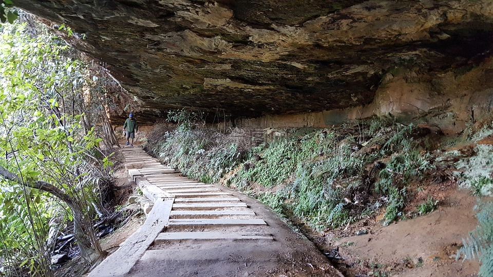 蓝山,新南威尔士州,荒野