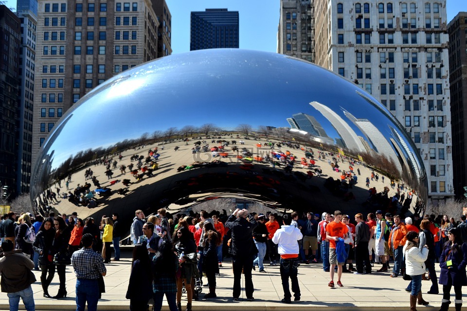 芝加哥豆,豆,艺术