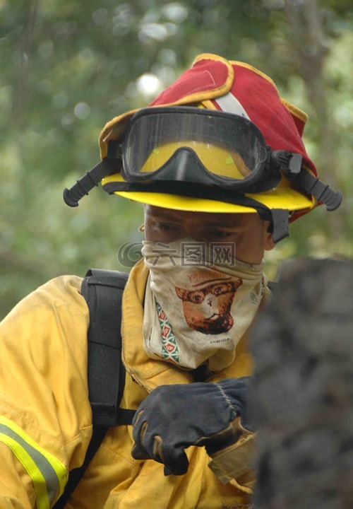 消防员,森林火灾,自然
