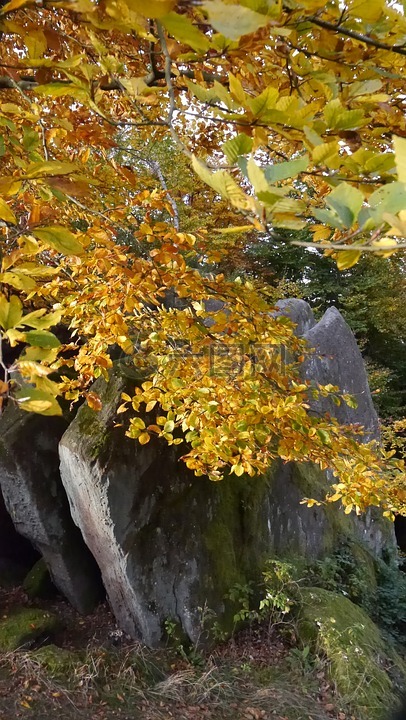 普法尔茨,岩,秋季