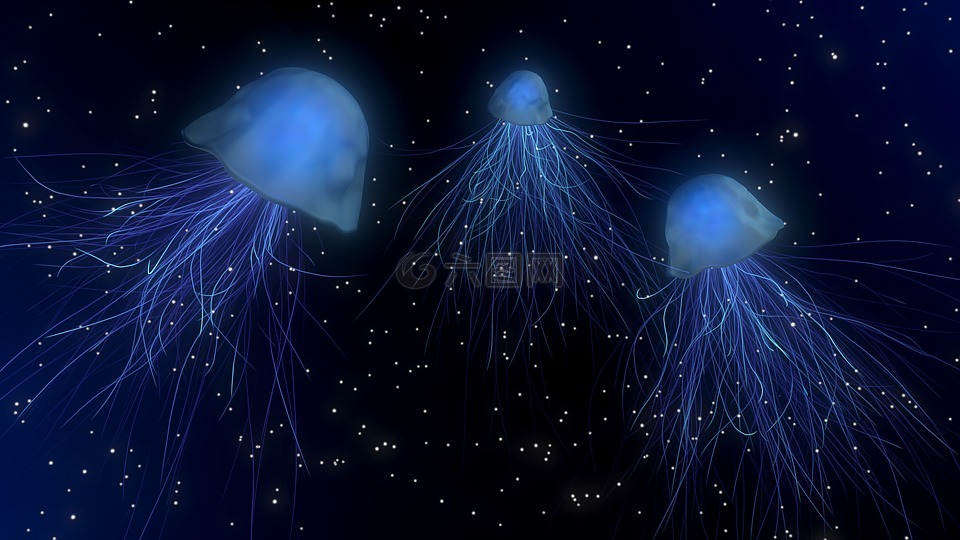 水母,深海,光