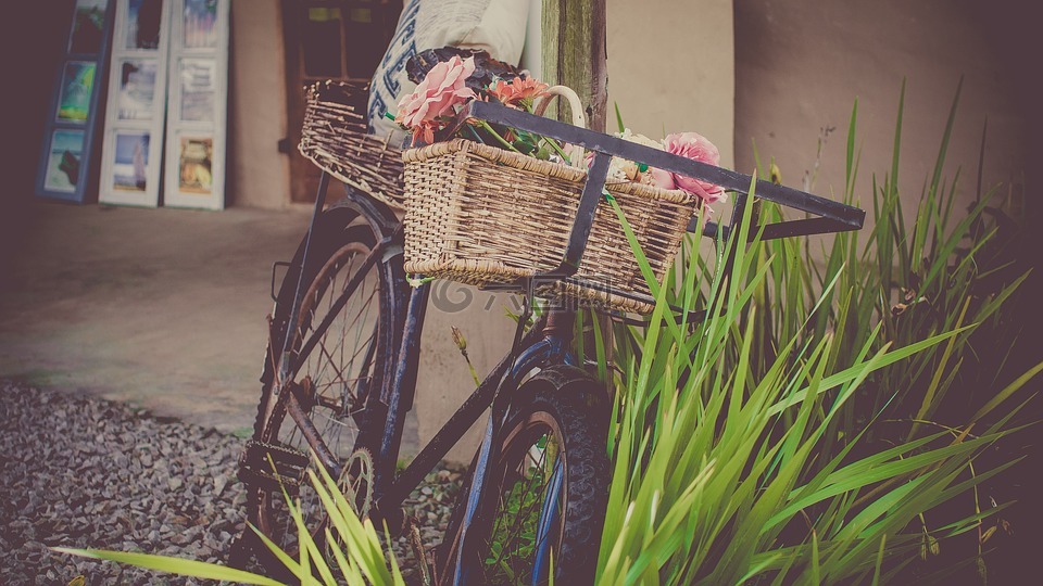 自行车,鲜花,店