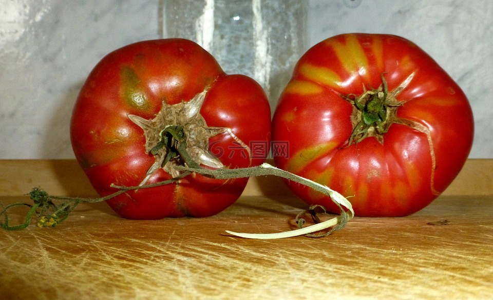 蕃茄,红色,老品种