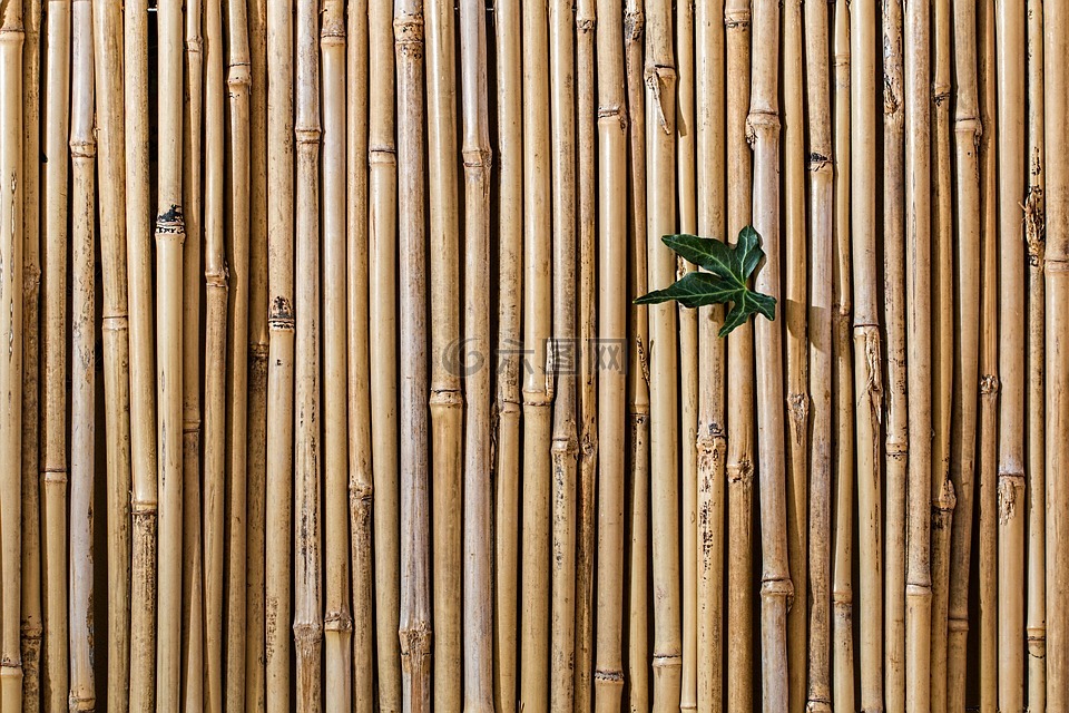 竹,屏障,屏幕上的围栏