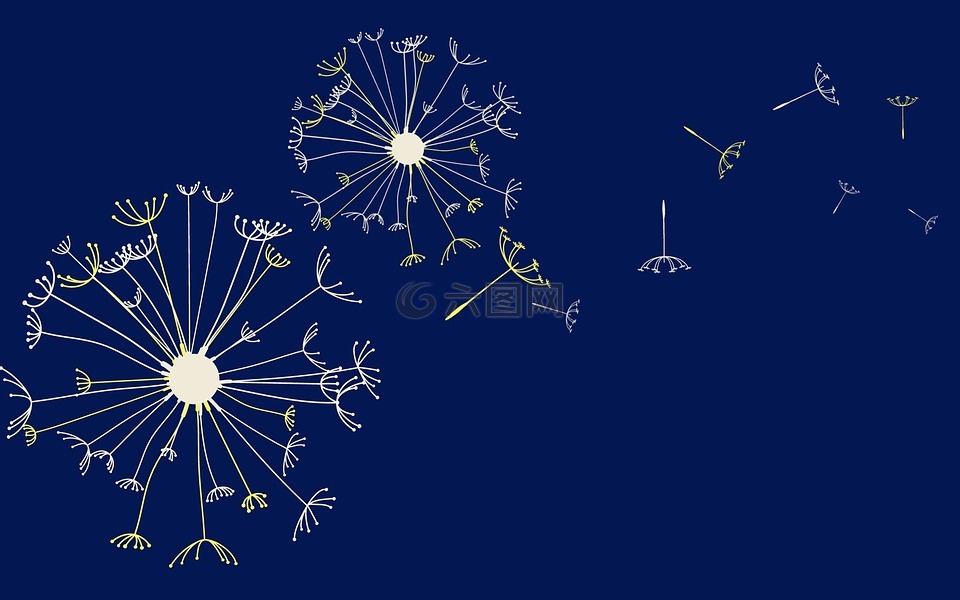 蒲公英,设计,背景高清图库素材免费下载(图片编号:6835974)-六图网