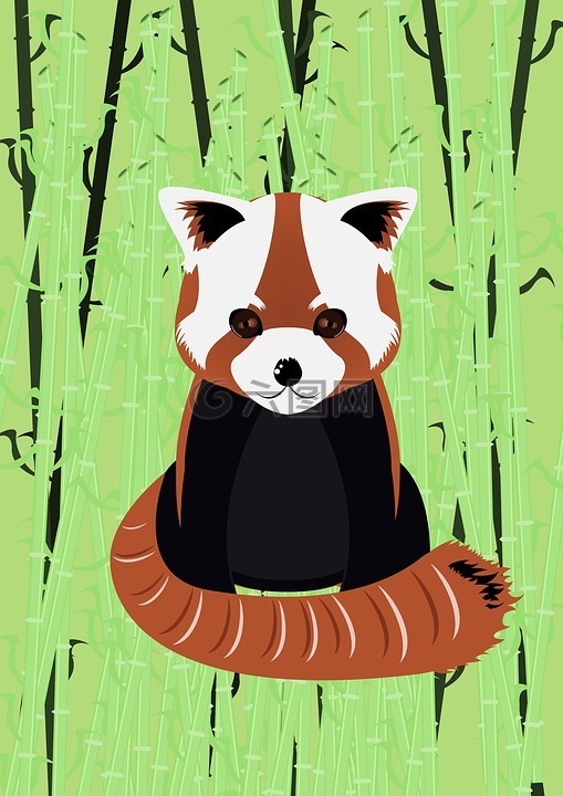 小熊猫,竹,火狐浏览器