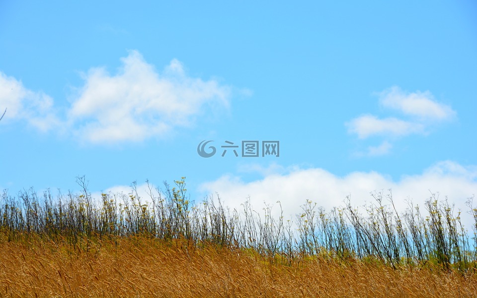 天空,云,三藩市湾