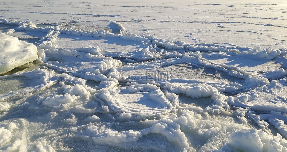 冰,海,冰冷的海里