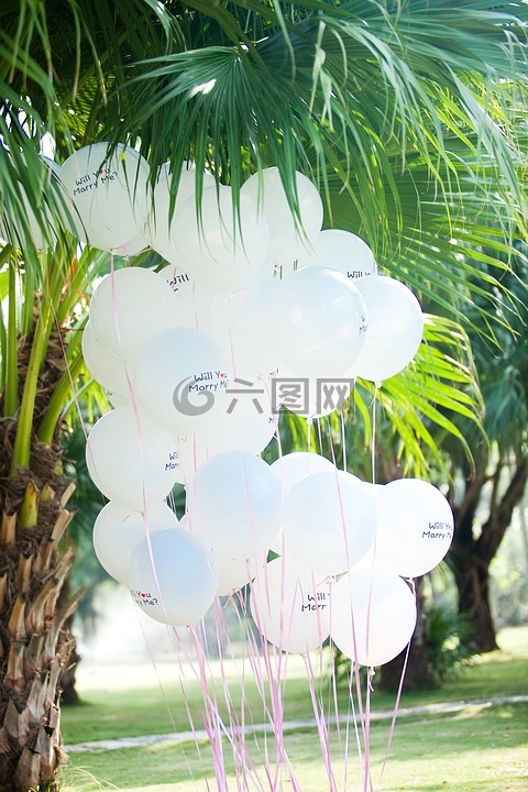 气球,婚礼,白绿